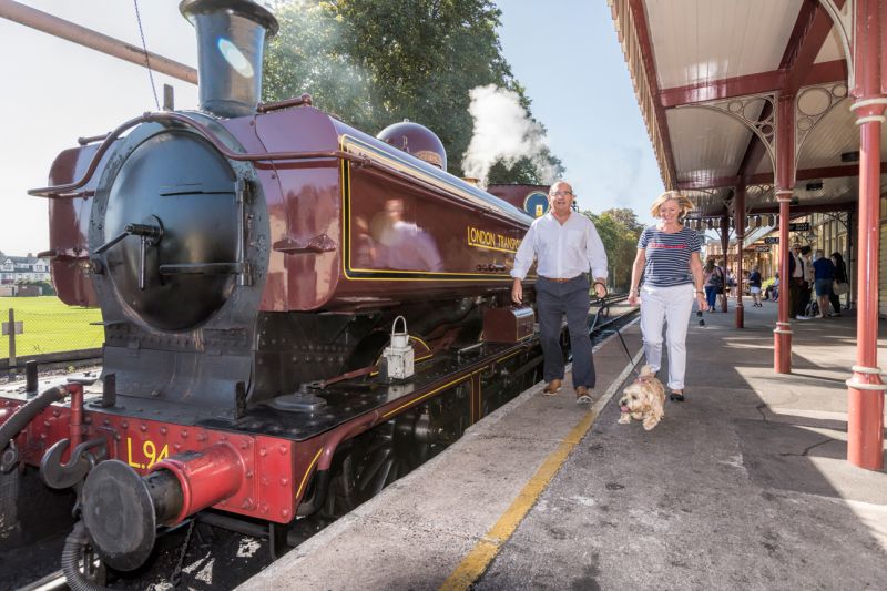 Steam Railways in South Devon