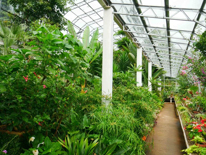 Torre Abbey Palm House