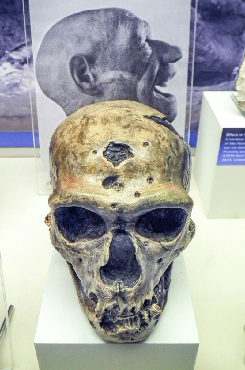 Torquay Museum on The English Riviera in south Devon