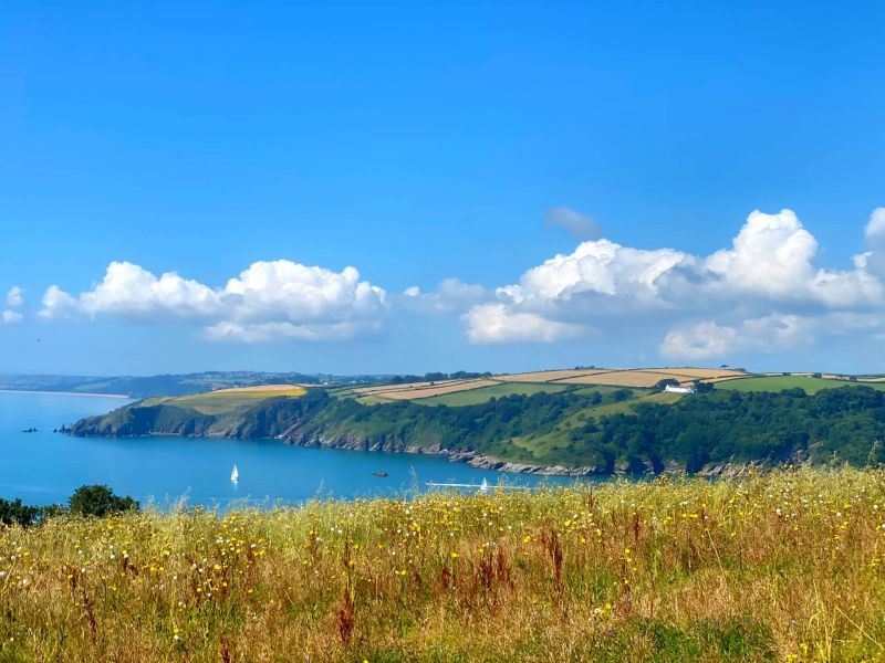 Brownstone Farm - South Hams- Dog Friendly breaks