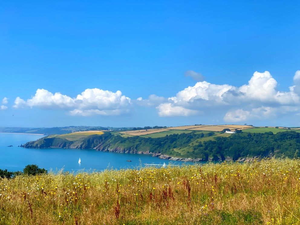 Brownstone Farm - South Hams- Dog Friendly breaks
