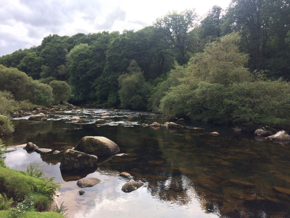 Riverside Walks on Dartmoor