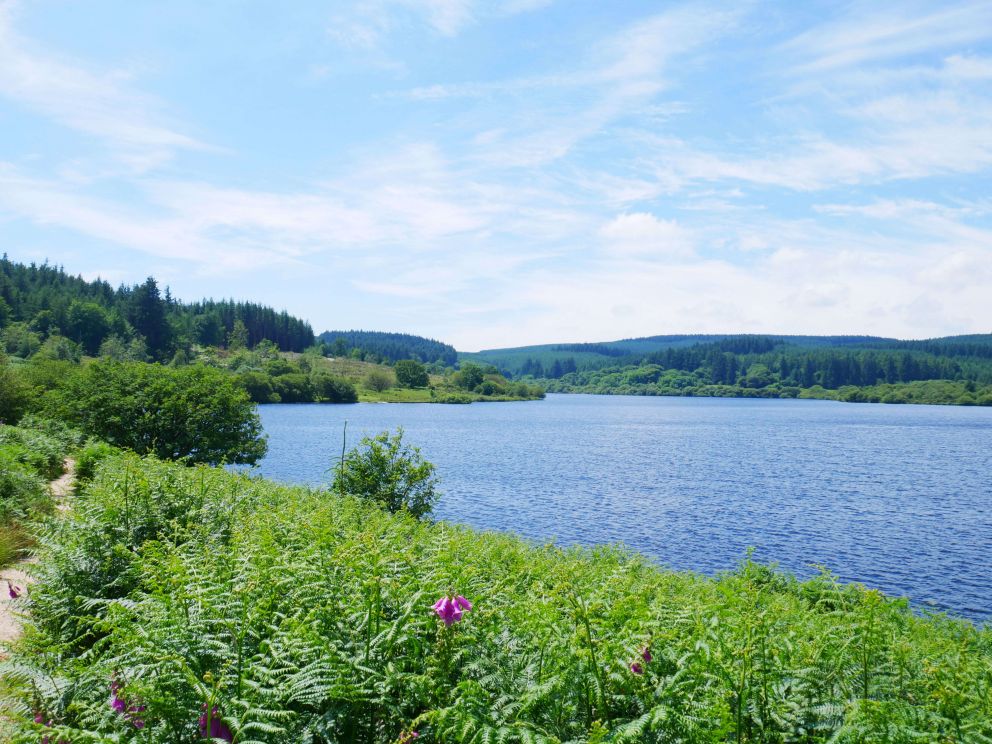 Fernworthy Reservoir on Dartmoor