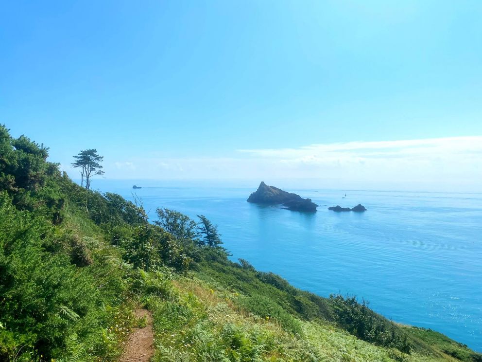 Mew Stone - South West Coast path near Dartmouth