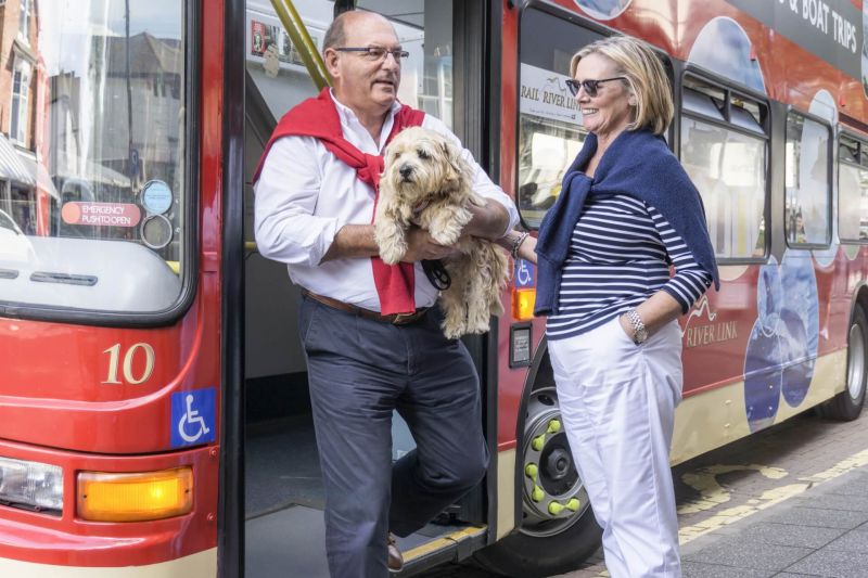 Dog Friendly Transport around The English Riviera