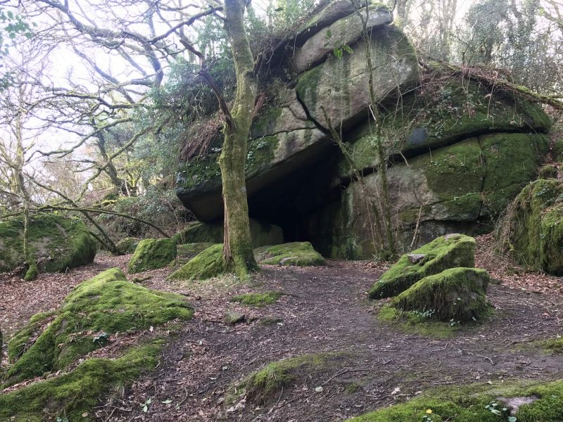 Dog Friendly Dartmoor