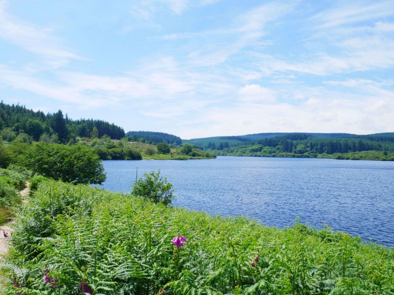 Fernworthy Reservoir