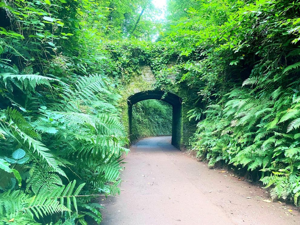 The Carriage Drive Cockington