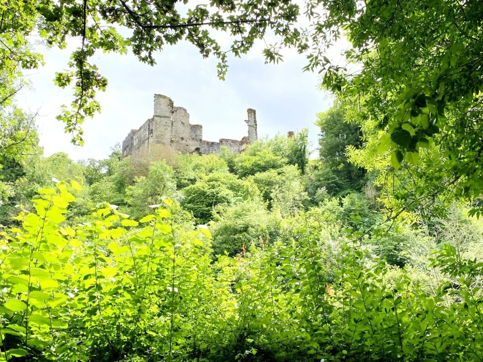 Berry Pomeroy Castle lies between Paignton and Totnes.