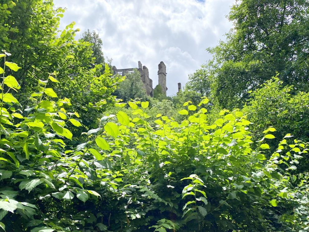 Berry Pomeroy Castle - reputed to be England's most haunted.