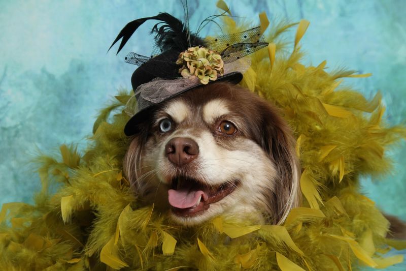 Comedy breaks in Torquay and The English Riviera