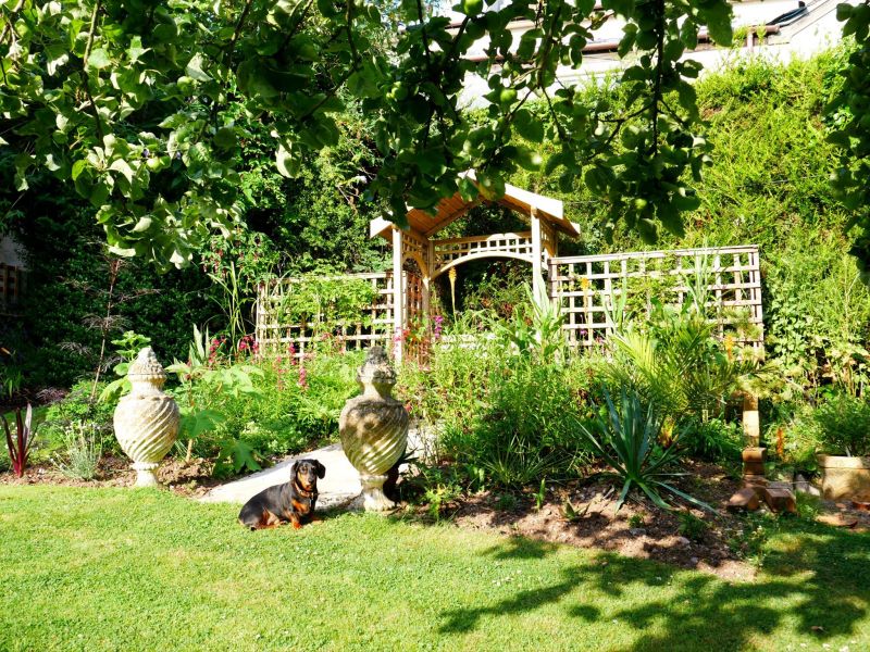 Dog Friendly Holidays in Torquay